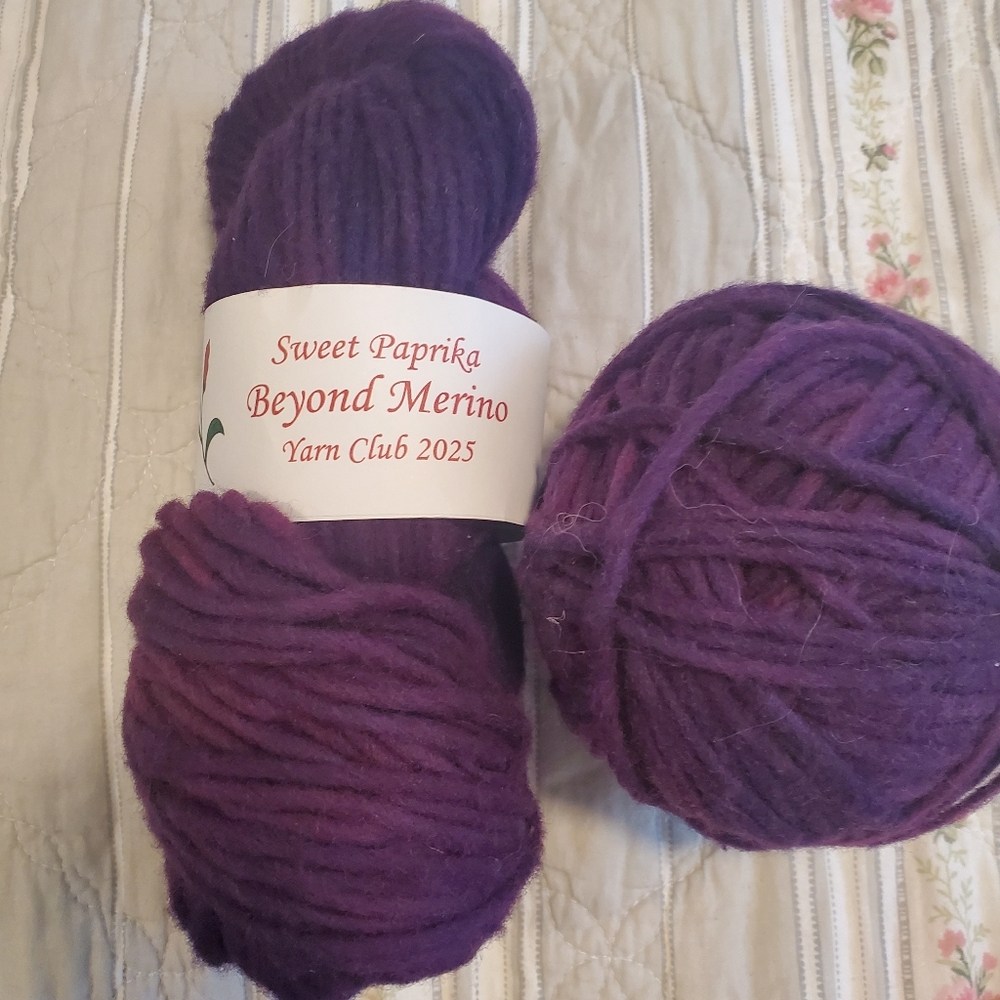Sweet Paprika Beyond Merino Yarn in Deep Purple